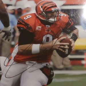Carson Palmer auto